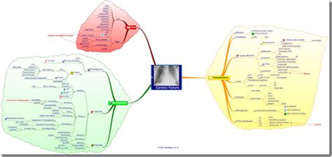 Medmaps Mapas Mentales Para Médicos Y Estudiantes En Medicina