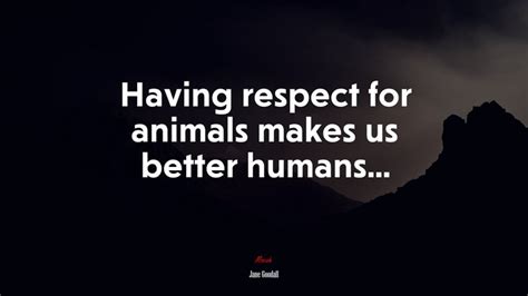 614130 Having Respect For Animals Makes Us Better Humans Jane