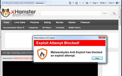 Is Xhamster A Safe Website Browse Xhamster Without Virus