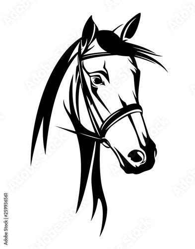 Horse Head With Bridle Black And White Equestrian Sport Vector