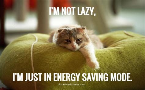 Im Not Lazy Funny Cat Memes