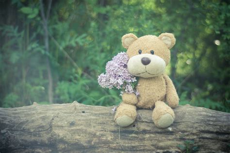 Identify how long you want to make your pants or skirt as well, and make another mark where you want the item to begin and end, adding 0.5 in (1.3 cm) to each. Brown Teddy Bear Holding Pink Flower Bouquet · Free Stock ...