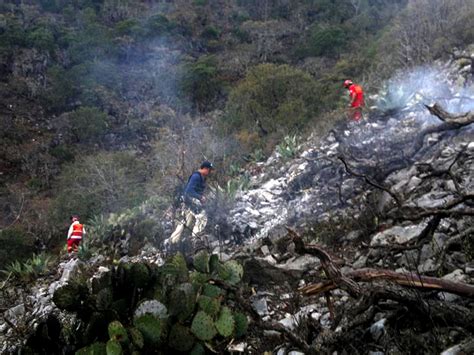 It was jenni's plane that crashed and that everyone on board died, her father, pedro rivera, told dozens of reporters gathered in front of his los it is the first official confirmation of rivera's death, although she has been widely presumed dead since the wreckage of her plane was found yesterday. Official: Jenni Rivera's plane took 28,000-foot plunge ...