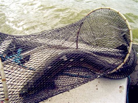 Wholesale Double Over Fishing Trap Fyke Nets Eel Trap Buy Fyke Nets