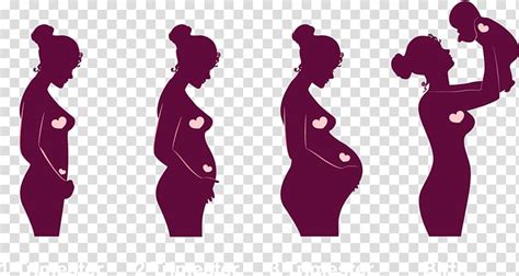 Pregnant Belly Pregnancy Cartoon Pregnantbelly