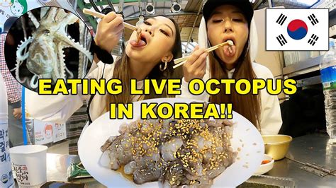 Live Octopus In Korea Youtube