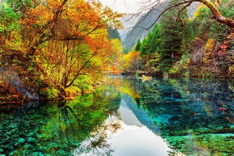 The Five Flower Lake Colorful Fall Forest Reflected In Water Stock