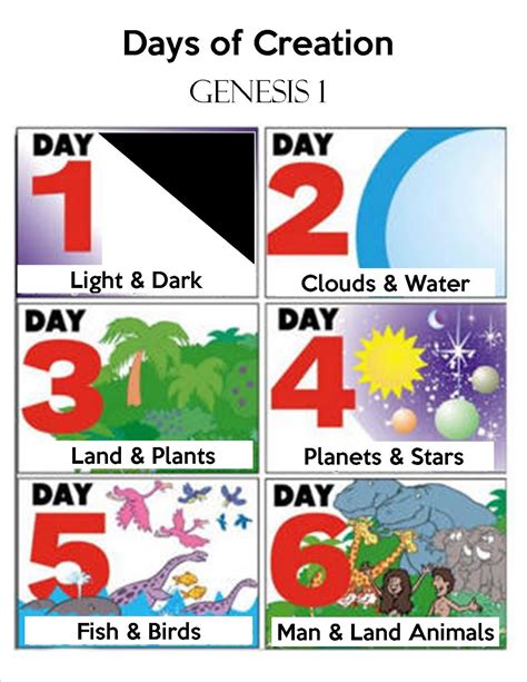 7 Days Of Creation Printables