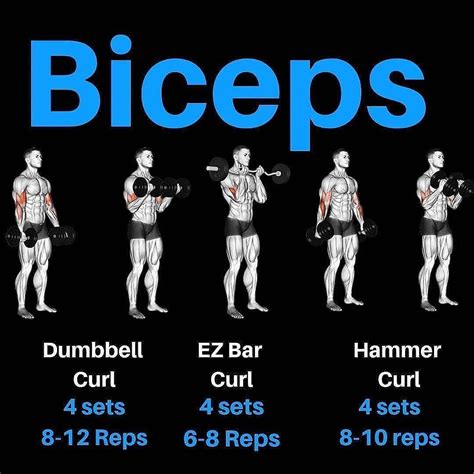 Whats Your Favorite Biceps Exercise Im Gonna Pick One Person To Get A