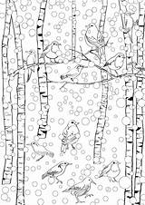 Winter Coloring Pages January Bird Birds Adults Scene Adult Printable Kids Snow Sheets Under Stress Anti Animals Print Popular Coloriage sketch template