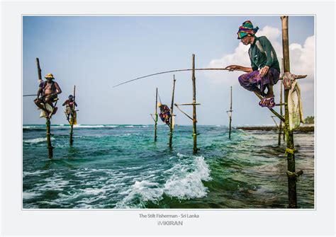 The Stilt Fisherman Sri Lanka
