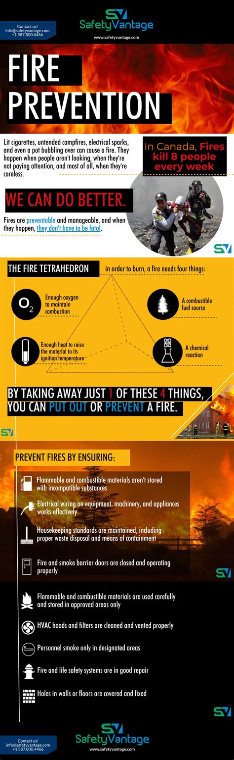 Fire Safety Types Infographic