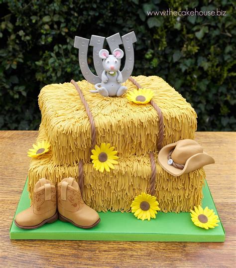 Pin By Angel Beard On Cake Art Iii Novelty Birthday Cakes Cake