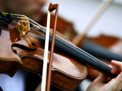 The Best Violin Strings For Beginners Johnson String Instrument Blog