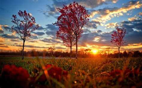 Landscape Sunset Autumn Wallpaper 1680x1050 151368