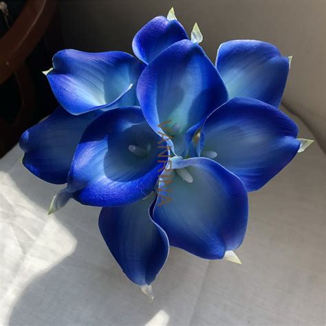 Picasso Calla Lily Bouquet Royal Blue Calla Lilies Stems Etsy