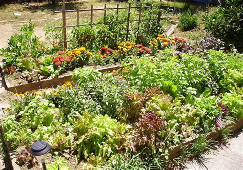 How To Winterize Your Raised Garden Bed