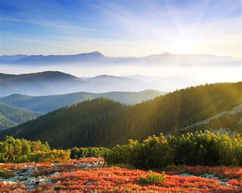 Sunrise Forest Mountains Wallpaper Free Wallpapers