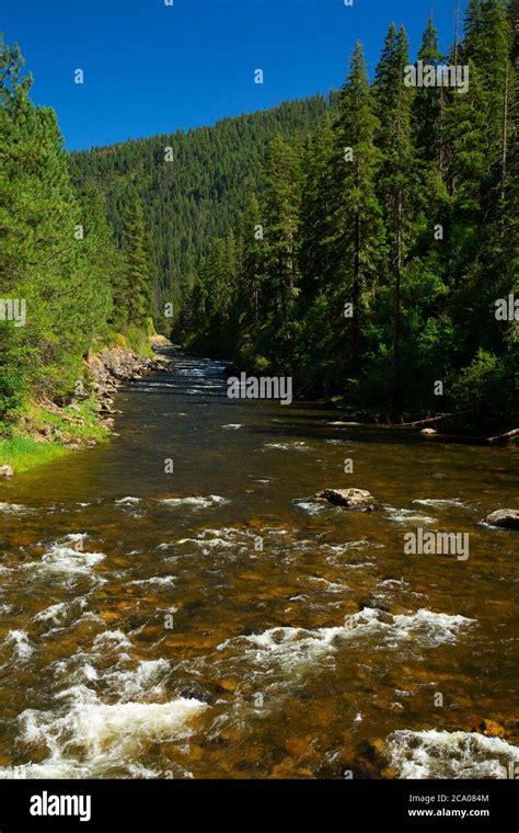 South Fork Clearwater River Nez Perce National Forest Idaho Stock