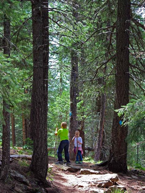 Arizonas Woods Canyon Lake Hiking Trail Is Full Of Perks