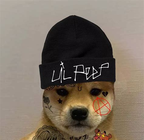 Pin By Img On Lil Peep Dog Tumblr Dog Icon Dog Images