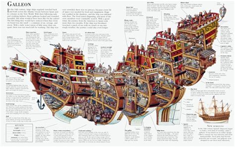 Illustrator Cross Sections Spanish Galleon Galleon Ship Sailing Ships Galleon