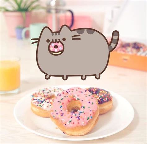 Donut Pusheen Pusheen Love Pusheen Cat Nyan Cat Cutest Cats Ever