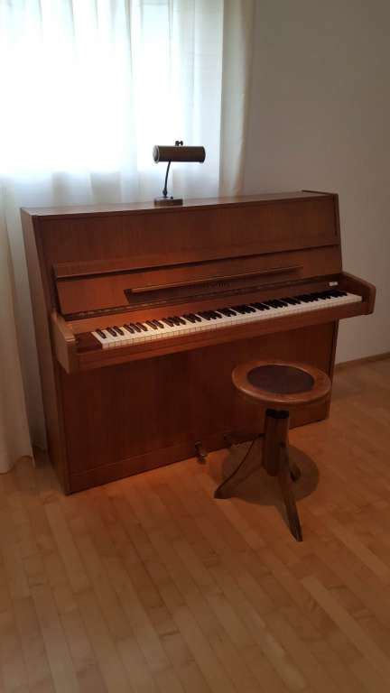 Seiler Klavier Mod118