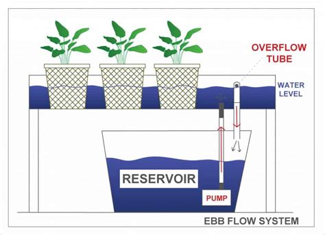 Diy Ebb And Flow Hydroponic System Step By Step With Pictures
