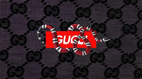 Gucci Snake Wallpaper 4k Tons Of Awesome Gucci Snake Wallpapers To