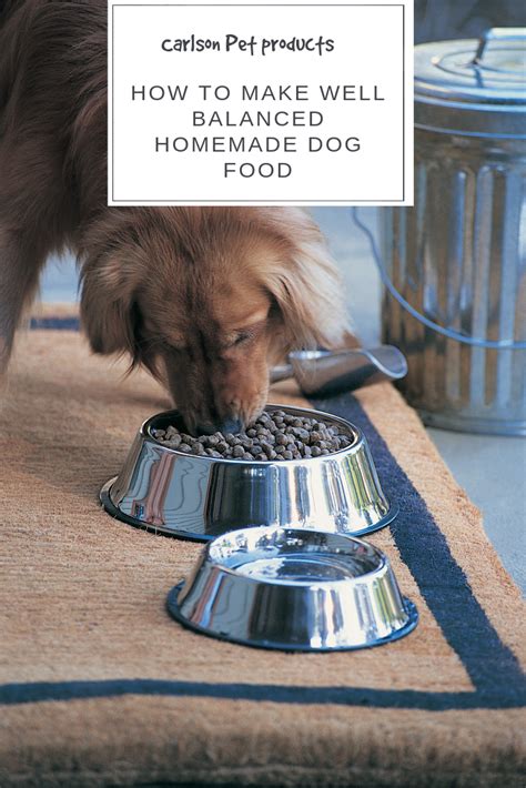 Always review your homemade dog food plan with your veterinarian to ensure your dog is getting the right proportions of the right ingredients along with any necessary supplements to keep him in prime health. How to Make Well Balanced Homemade Dog Food | Carlson Pet ...