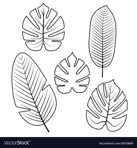 Printable Palm Leaf Outline Large Palm Leaves Template Flowers