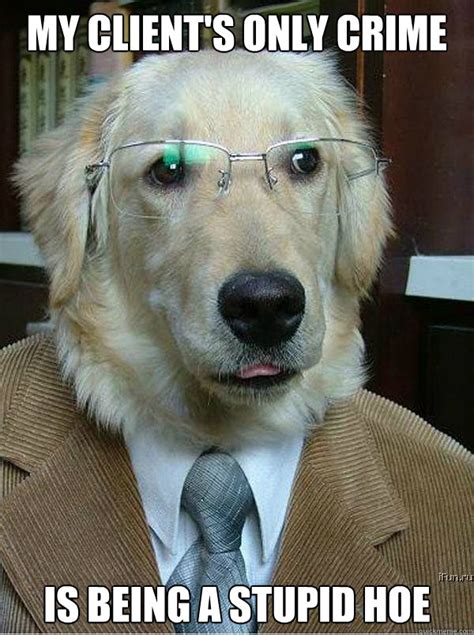 Famous Dog Lawyer Memes Quickmeme