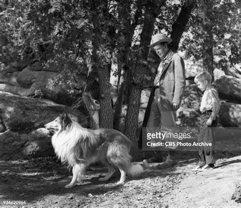 Lassie Photos Photos And Premium High Res Pictures Getty Images