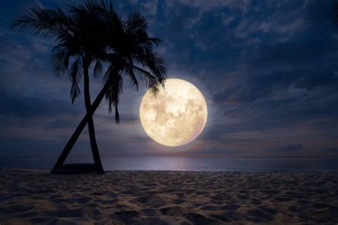 Royalty Free Moonlight Beach Pictures Images And Stock Photos Istock