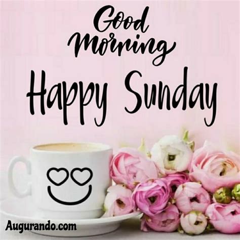 Send these beautiful wishes, photos and hd pics to your loved ones and wish them happy here is our awesome collection good morning sunday images, wishes and greetings. Best Good Morning Sunday Images! Always Updated Images!