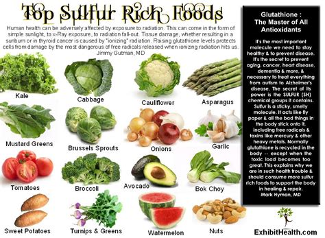 Top Sulfur Rich Foods Exhibit Health Food Source Health And