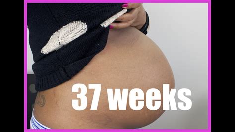 Week Pregnancy Update Belly Shot Youtube