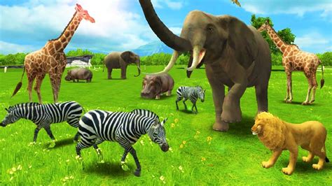 3d Animal Games For Kids Aslclinic