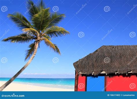Caribbean Coconut Palm Tree And Red Hut Cabin Stock Photo Image Of