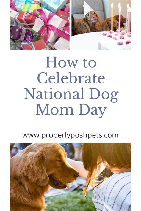 Celebrate National Dog Mom Day Lets Plan A Pawty Properly Posh