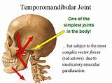 What Is A Tmj Doctor Called