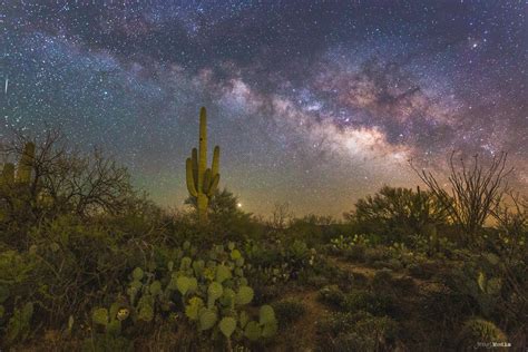 The Sonoran Desert During Peak Night Sky Viewing Conditions Arizona