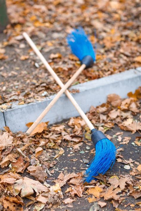 Two Brooms For Cleaning Leaves In An Autumn Park Stock Image Image