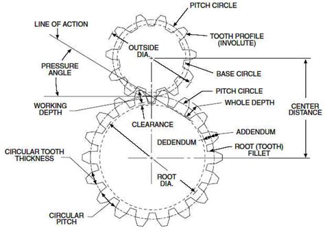 Spur Gear Tooth Component Identification