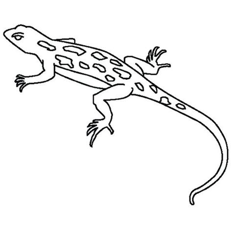 Mewarnai gambar hewan cicak warna warni gambar via mewarnaigambarcantik.blogspot.com. Gambar Mewarnai Cicak Terbaru Untuk Anak TK dan Paud