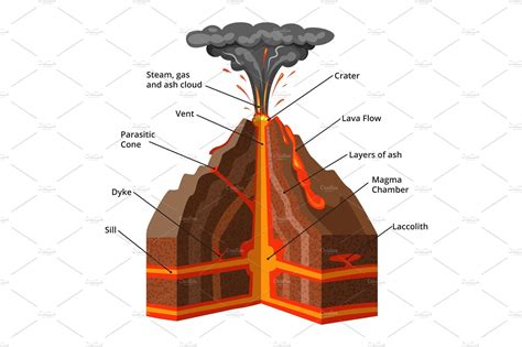 Vector Infographic Illustration Cross Section Of Volcano Graphics