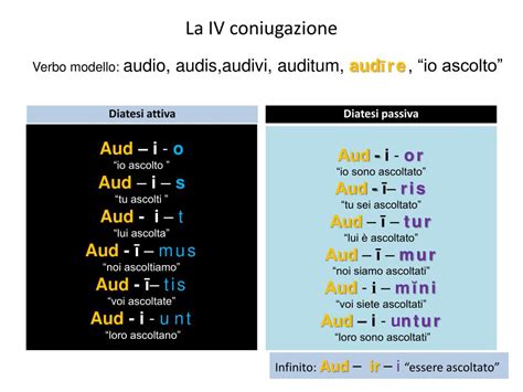 Esercizi Verbi Latino 1 Coniugazione - PPT - Il verbo latino PowerPoint Presentation, free download - ID:1760637
