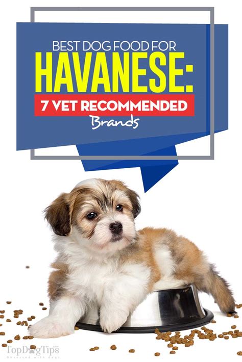 Top 10 dog foods 2021updated april, 2021. Best Dog Food for Havanese: 7 Vet Recommended Brands