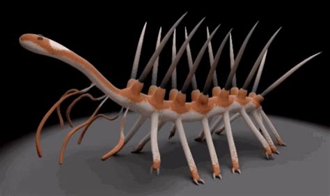 Worlds Top 10 Weird Prehistoric Animals